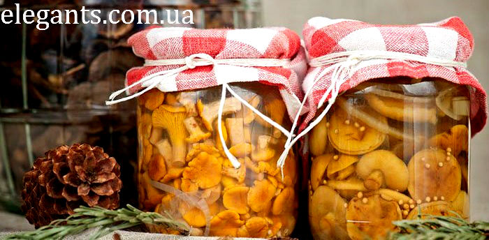 грибы,купить грибы,сушенные грибы,консервированые грибы,салат с грибами,рецепты с грибами,грибы фото,заказывайте гриба,купить онлайн белые грибы,курица с грибами,грибы в духовке,цветы,купить цветы,семена цветов,семена,семя,семю,купить семена,купить семян,семена почтой,арбуз,семена магазин,интернет семена,интернет семян,интернет магазин семян,куплю семена,каталог семена,каталог семян,капуста,перец,сладкий перец,болгарский перец,морковь,семена моркови,полезные свойства моркови